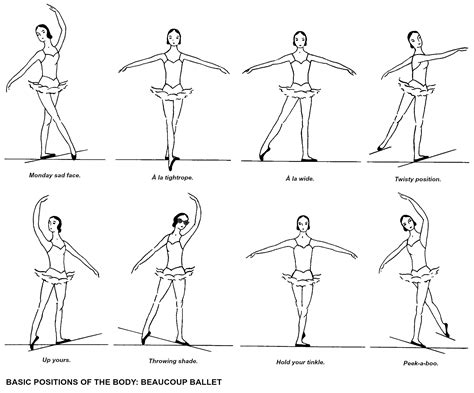 baisage|Définition baisage 